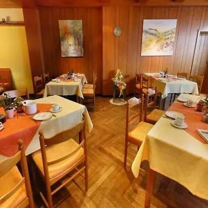 Otel Braunes Ross 3*